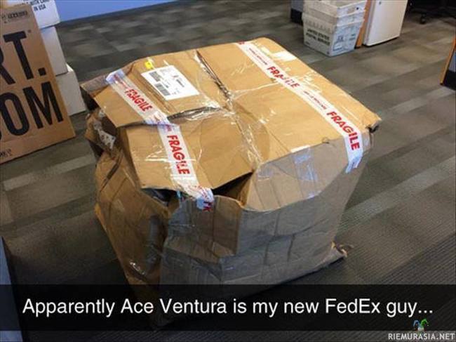 Ace Ventura tainnut toimittaa tämän paketin