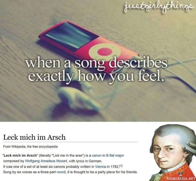 Kun jokin biisi kuvaa tismalleen miltä sinusta tuntuu - Mozart oli huumorimiehiä näköjään?