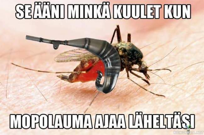 Se ääni jonka kuulet - Kun mopolauma ajaa läheltäsi