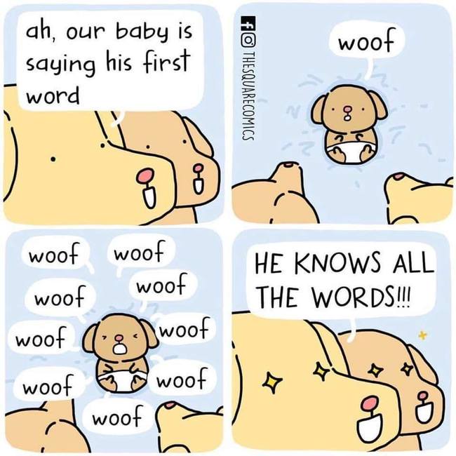 Koiranpennun ensimmäset sanat