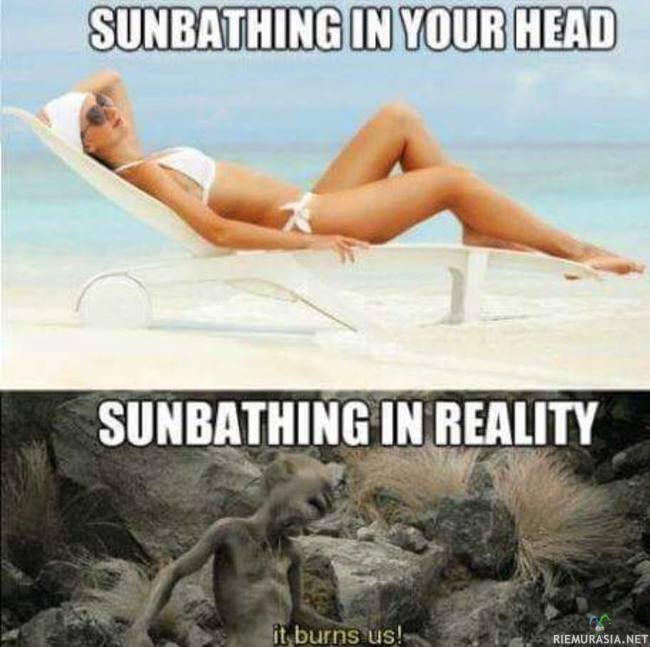 Auringon ottaminen - kuvitelmat vs. todellisuus