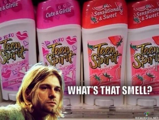 Mikäs täällä tuoksuu? - Kurt Cobain nuuhkii