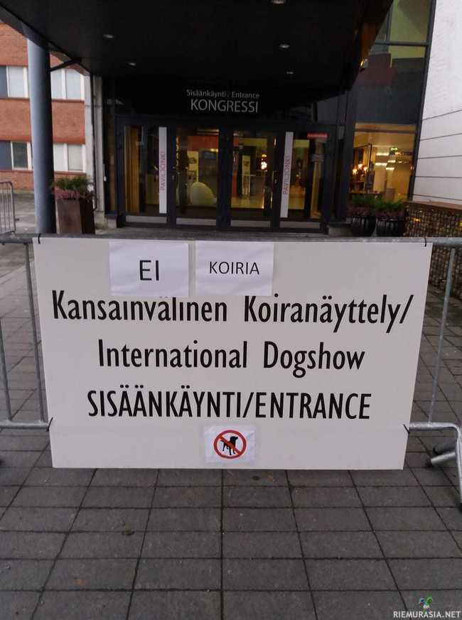 Kansainvälinen koiranäyttely