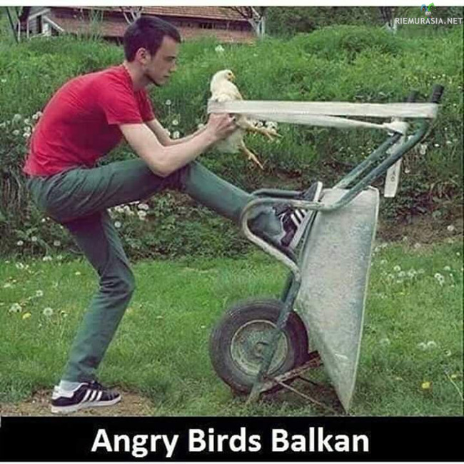 Angry birds Balkan