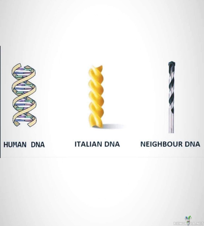 DNA:t vertailussa