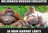 Evoluutio