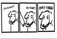 Koiran logiikka