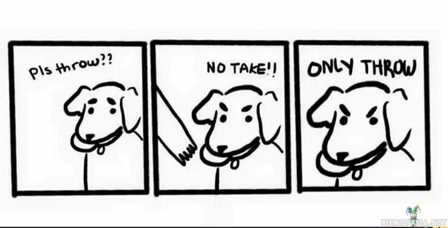 Koiran logiikka