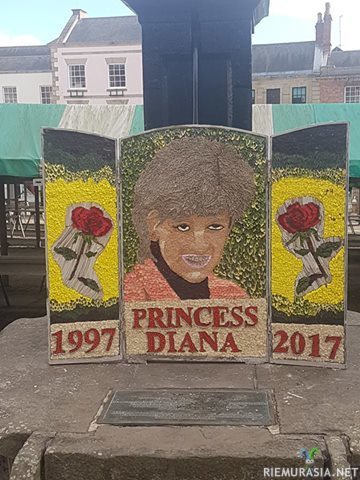 Prinsessa Dianan näköismuistomerkki - Kuin lasten kauhuelokuvasta. http://www.telegraph.co.uk/news/2017/09/12/floral-princess-diana-tribute-mocked-looking-like-worzel-gummidge/