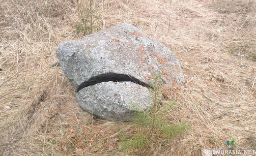 Surullinen kivi :( - Lappajärvestä löytyi surullinen kivi