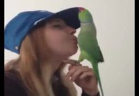 Tyttö ja papukaija suukottelevat