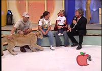 Leijona ja Lapsi kohtaavat televisiossa