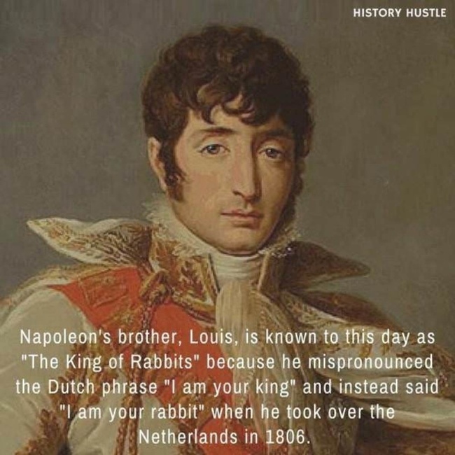 Jänisten kuningas - Napoleonin veli, Louis on näihin päiviin saakka tunnettu nimeltä &quot;Jänisten kuningas&quot; koska hän lausui väärin hollanniksi fraasin &quot;Olen teidän kuningas&quot; ja sen sijaan sanoi &quot;Minä olen teidän jänis&quot; valloittaessaan Alankomaat vuonna 1806.