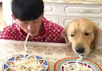 Koiran ja miehen syömiskisa