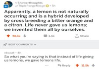 Life gives you lemons