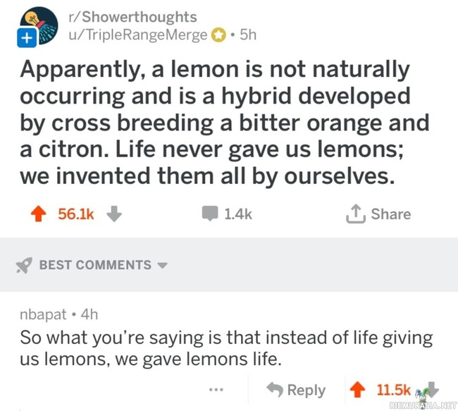 Life gives you lemons - (and all that I can see is another lemon tree)