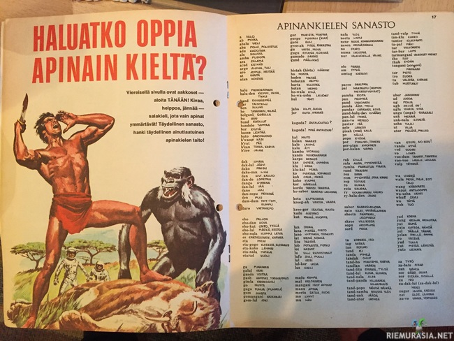 Haluatko oppia apinain kieltä? - Tarzan lehti no 8 1967. Näillä pärjää Afrikan viidakoissa ja muuallakin