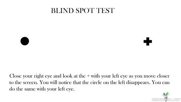 Blind Spot - Blind Spot