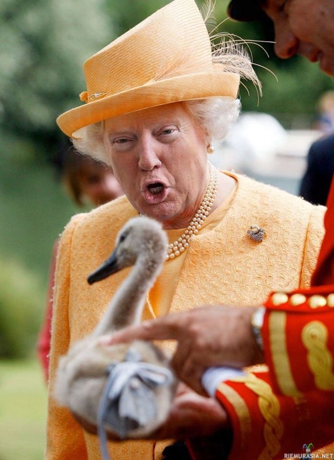 Queen Trump - Trump as Queen