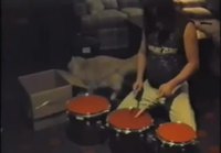Kissa rummuttaa