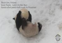 Panda jumppaa!