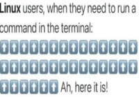 Linux terminal users