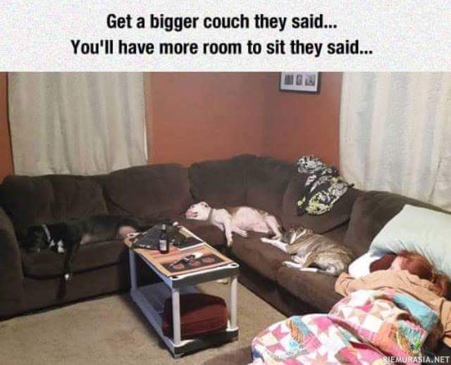 Sanottiin että pitäisi hankkia isompi sohva - siinä pitäisi olla enemmän tilaa