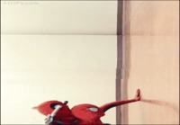 Spiderman ja deadpool kiipeilee