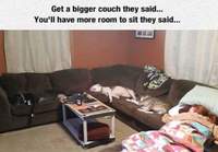 Sanottiin että pitäisi hankkia isompi sohva