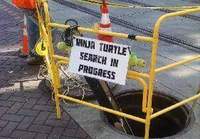 Turtlesien etsintä käynnissä