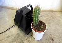 Kuplakone + kaktus