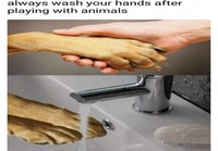Käsien pesu