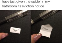 Kylpyhuoneen hämähäkille kirjallinen häätöilmoitus