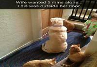 Vaimo tahtoi olla yksin viisi minuuttia