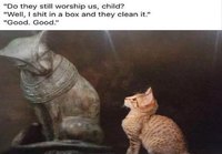 Muinaiset & nykypäivän kissat