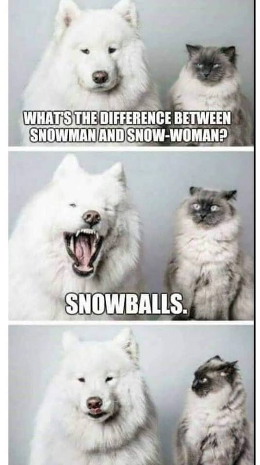 Koiran lumiukkovitsi
