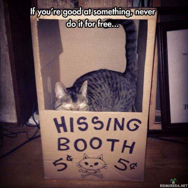 Hissing booth - Sähinää maksua vastaan, kissa on tuotteistanut osaamisensa taidokkaasti