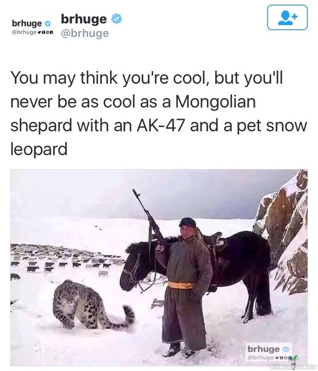 Jos luulit olevasi cool - Niin Mongolialainen paimen AK-47 rynnäkkökiväärin sekä lumileopardilemmikin kanssa on taatusti coolimpi