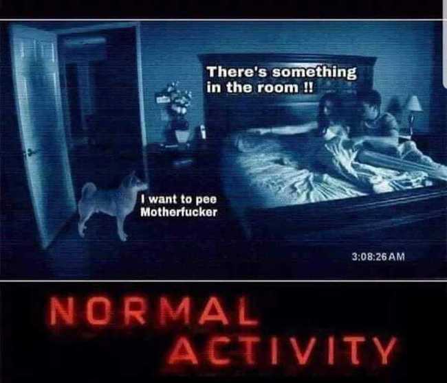 Normal activity